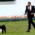 Obama y Bo