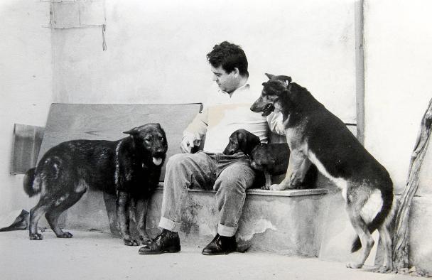 Juro, el perro de la izquierda, es uno de los perros del Muro rescatado por una familia de Mallorca.