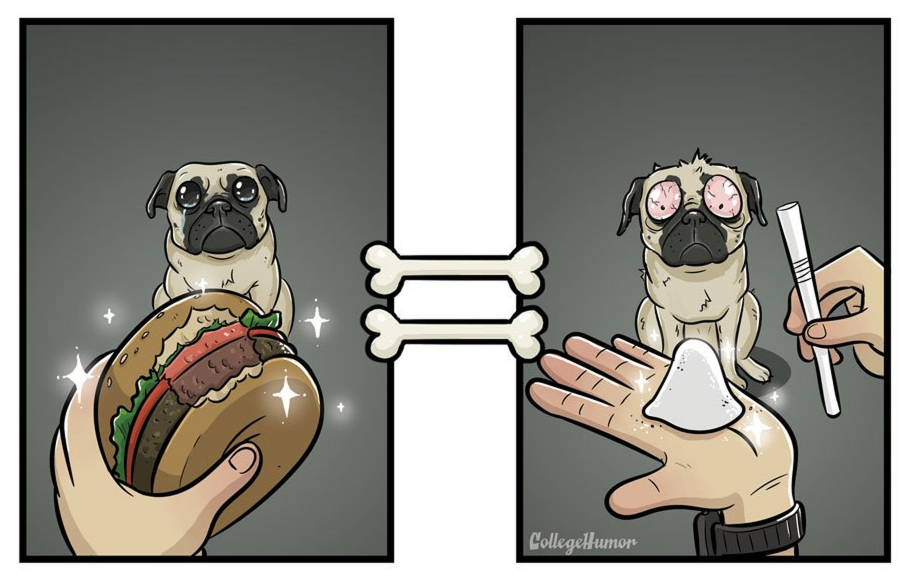 hamburguesa_perro
