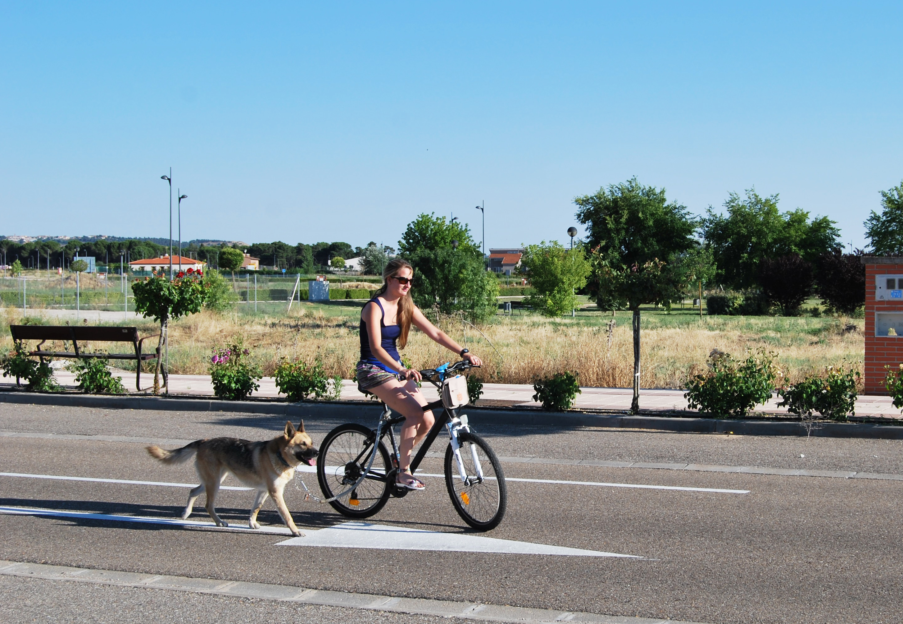 faire du vélo avec son chien