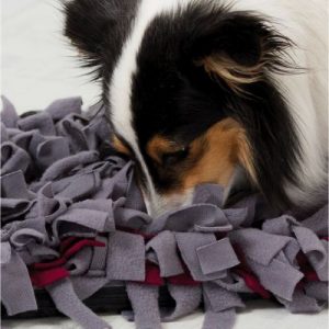 alfombra olfativa perro ansiedad por separación zooplus
