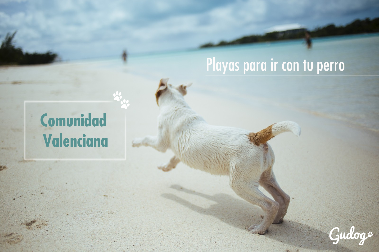Playas para perros Andalucía