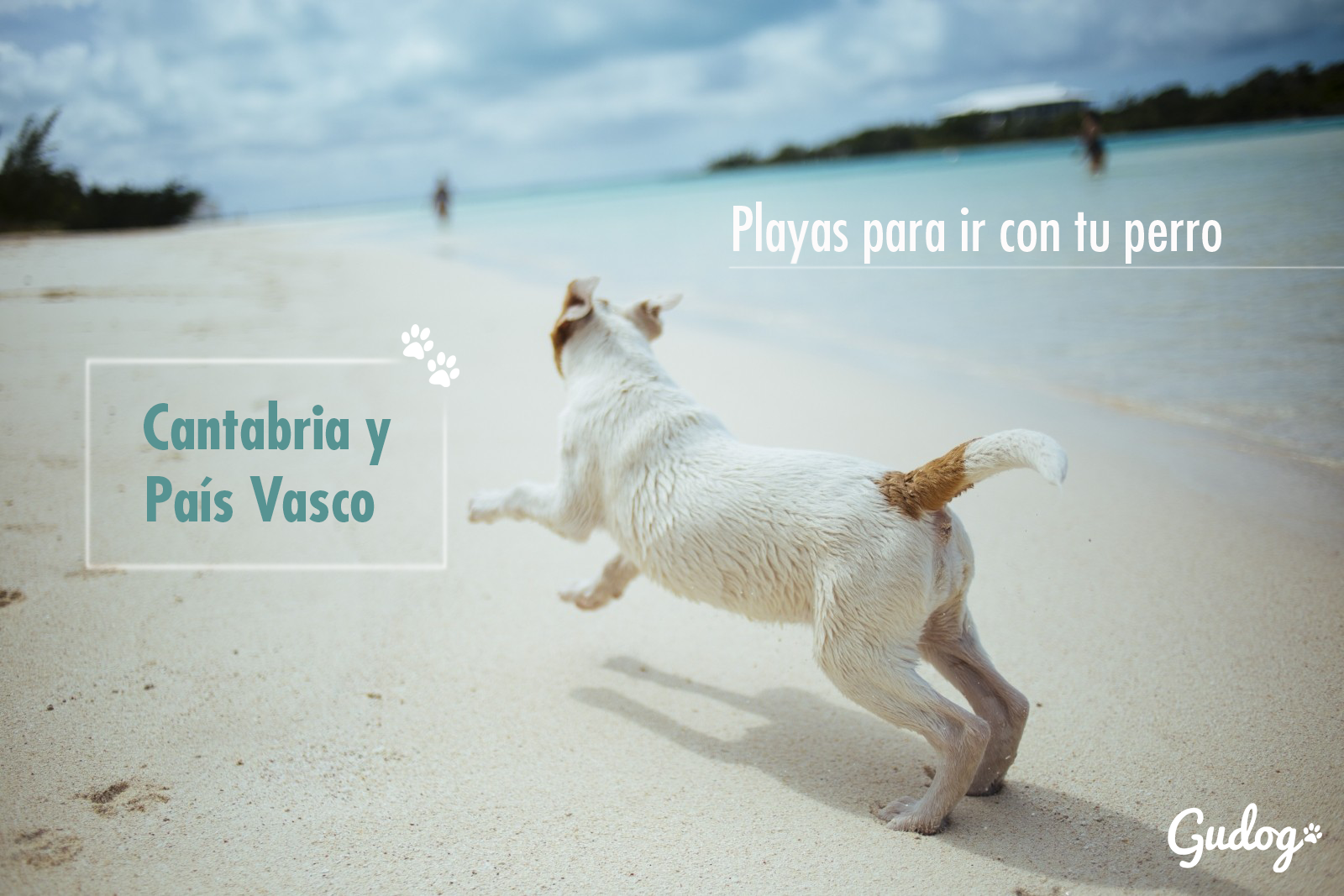 playas para perros cantabria y país vasco