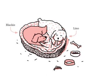 Blackie y Lino El Gran Libro de los Perros
