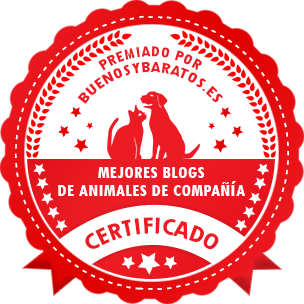 mejor blog animales de compañía