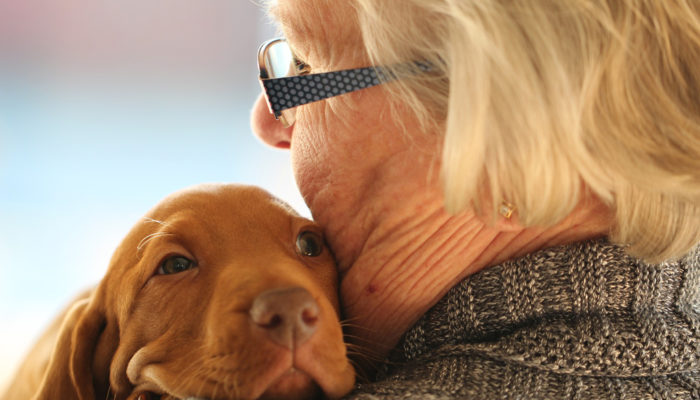 Tener un perro ayuda a nuestros mayores