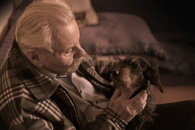 Tener un perro ayuda a nuestros mayores